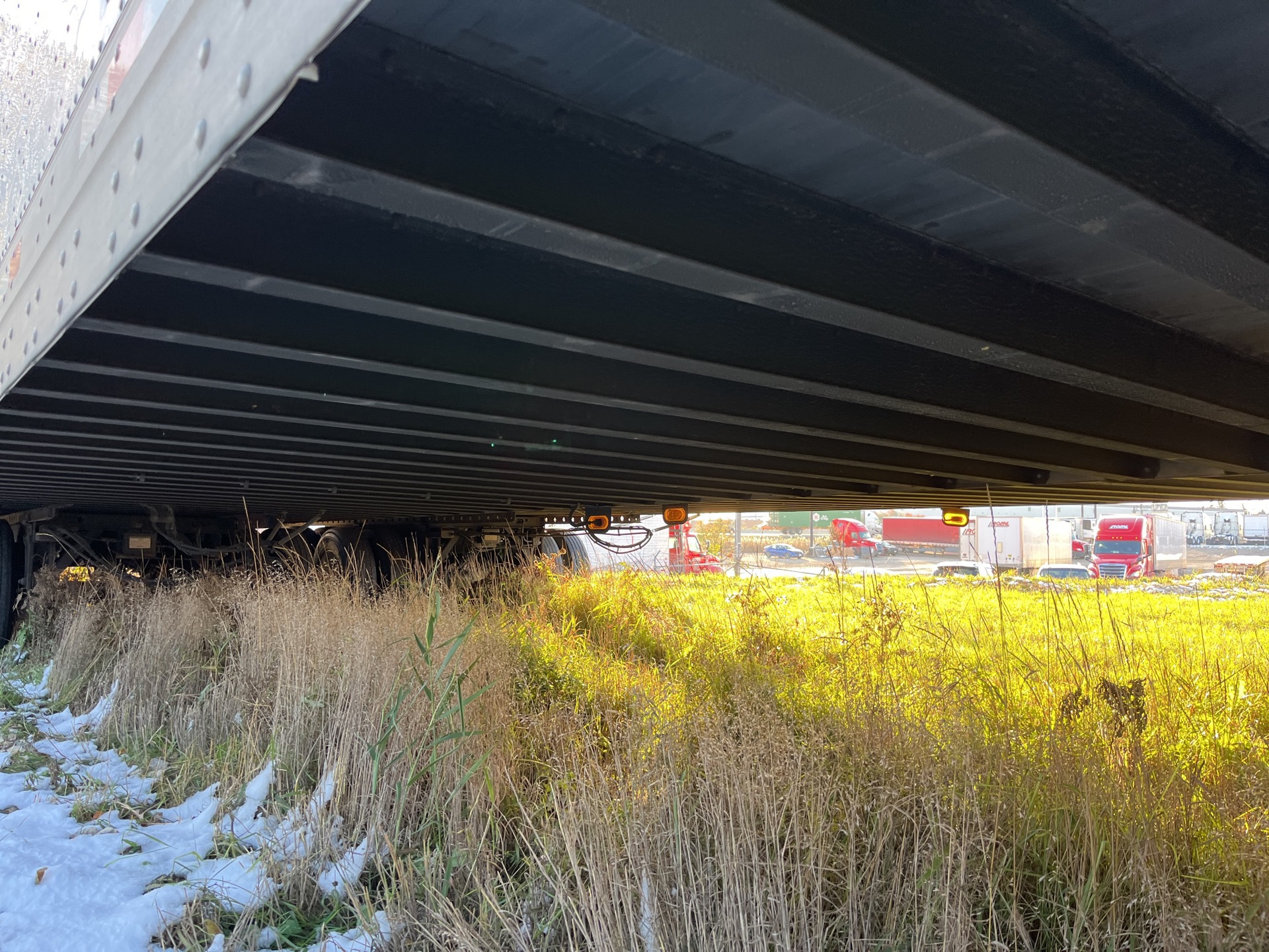 Photo - 10