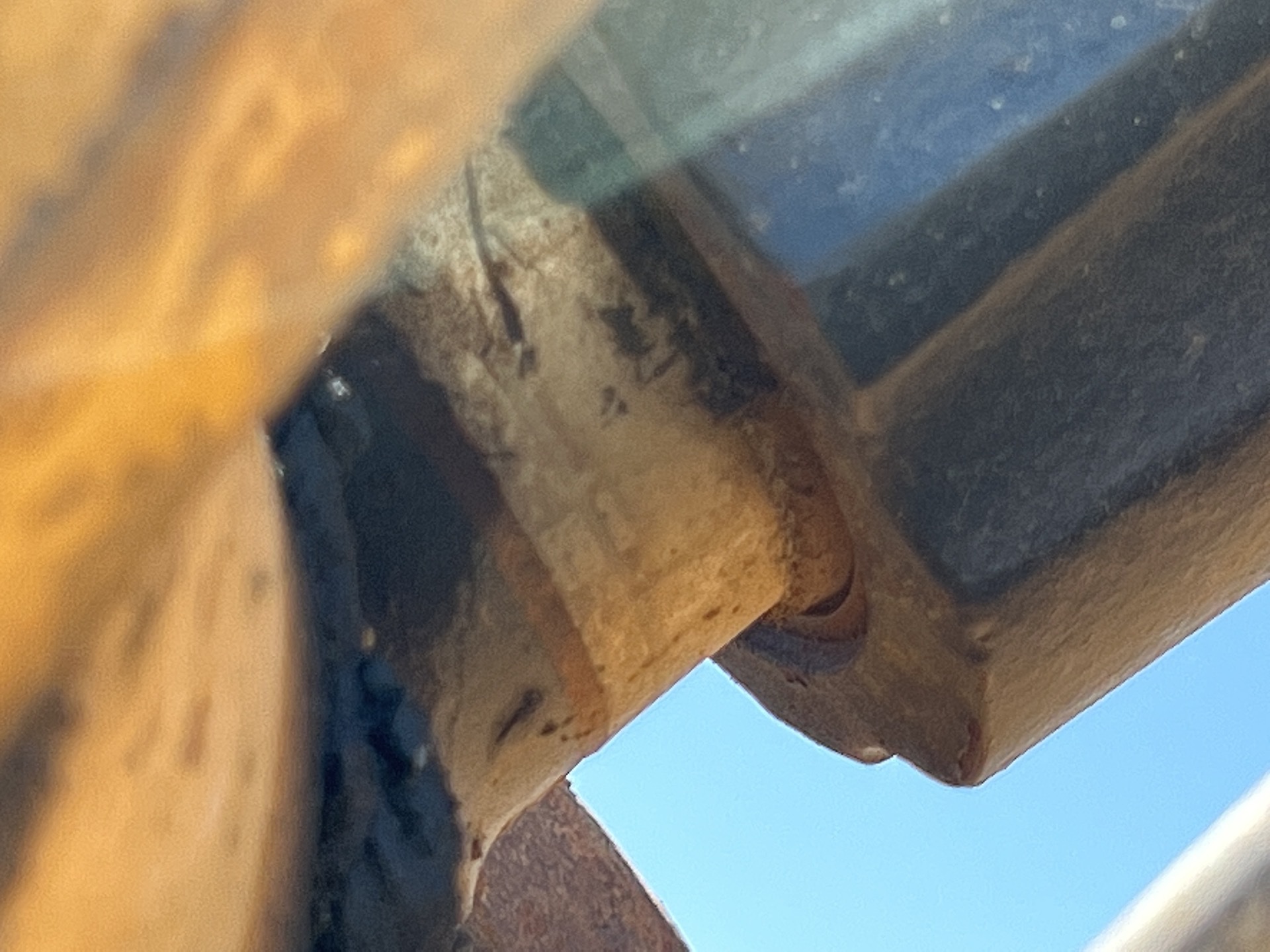 Photo - 45