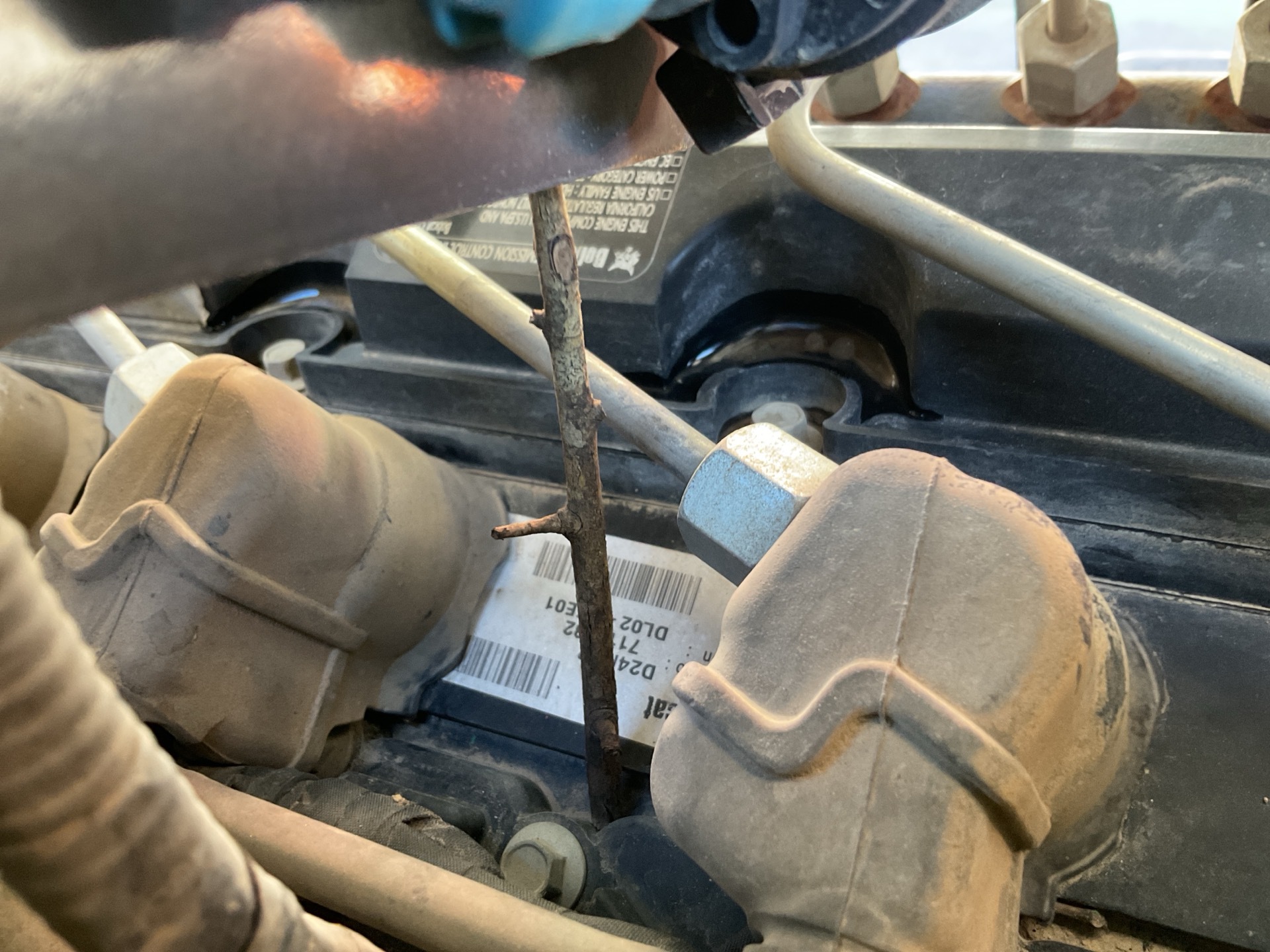 Photo - 25