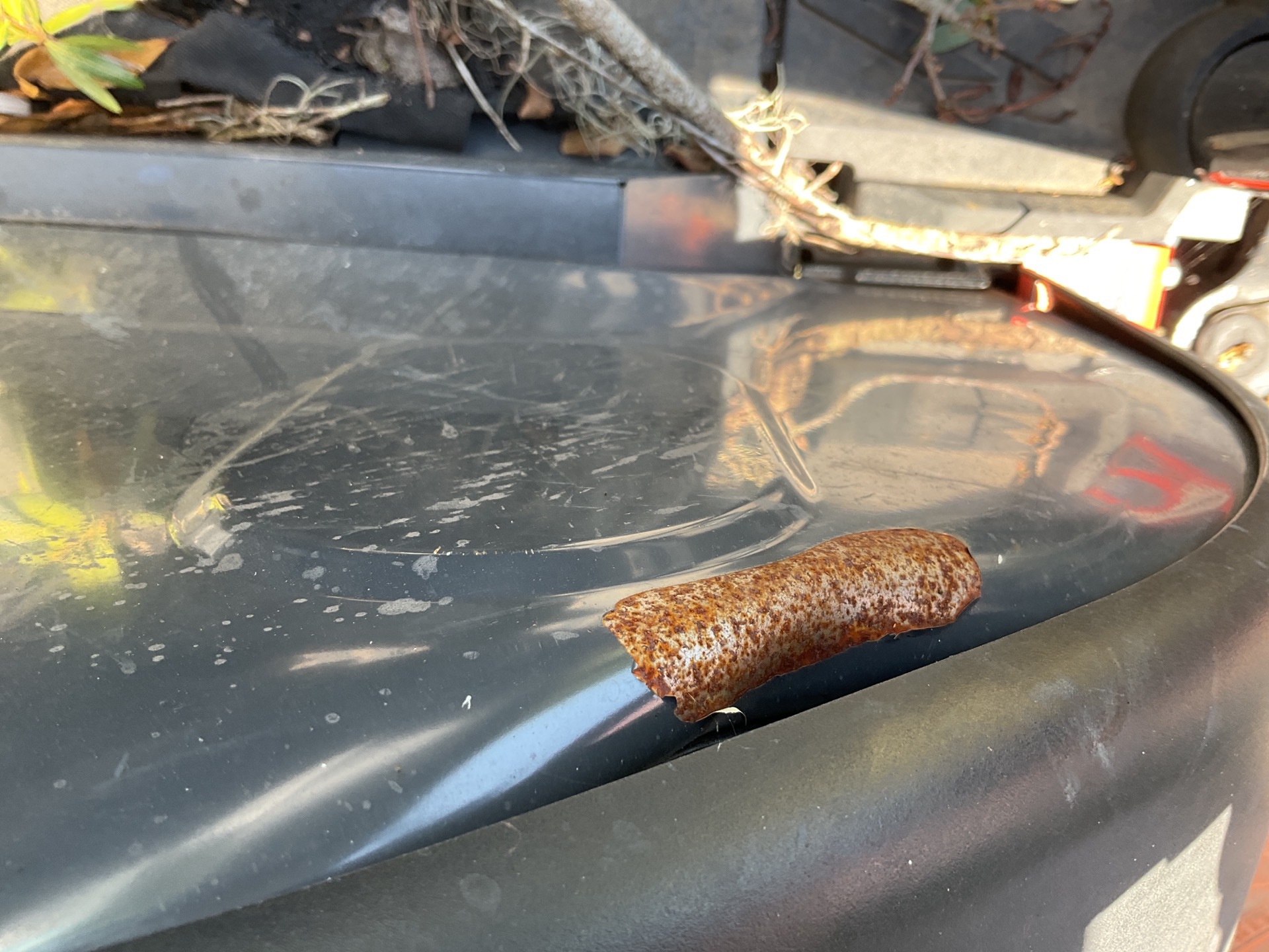 Photo - 11