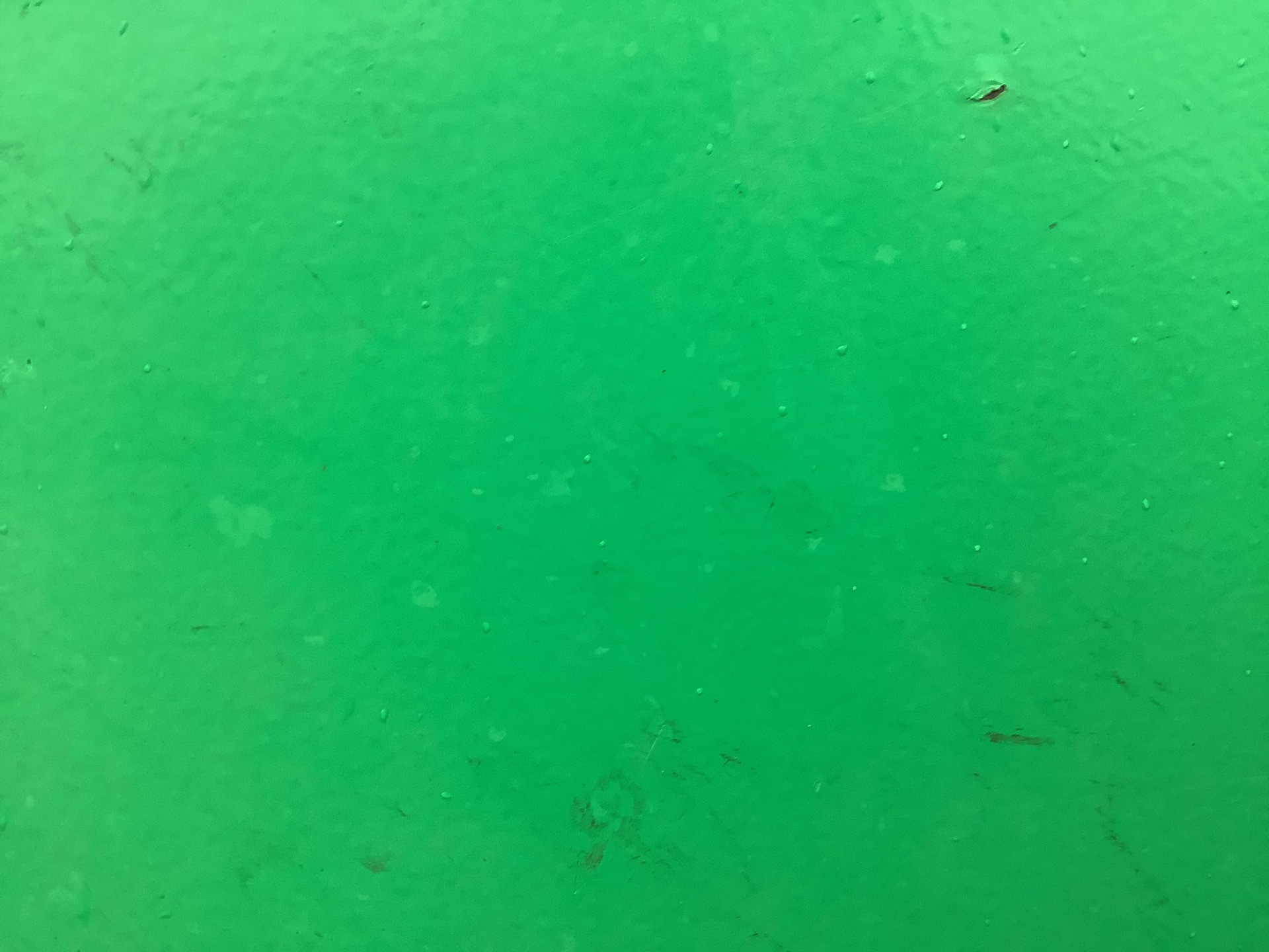 Photo - 32