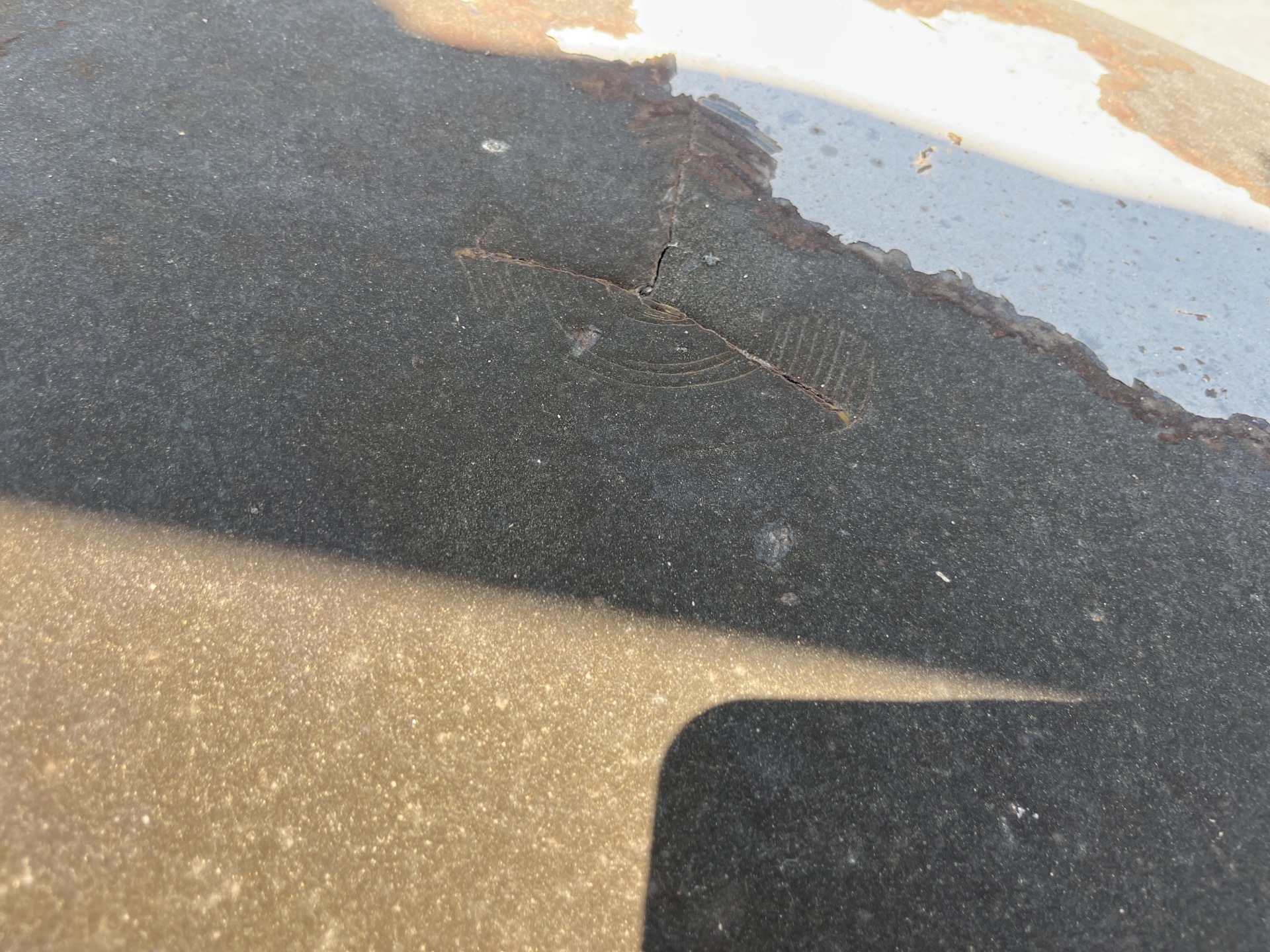 Photo - 18