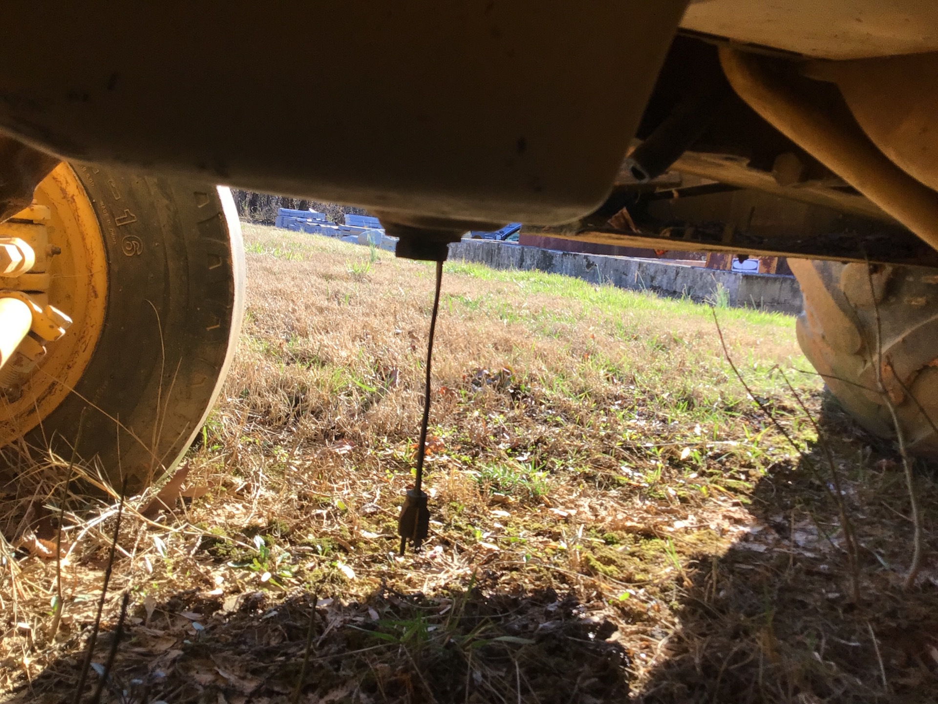 Photo - 12
