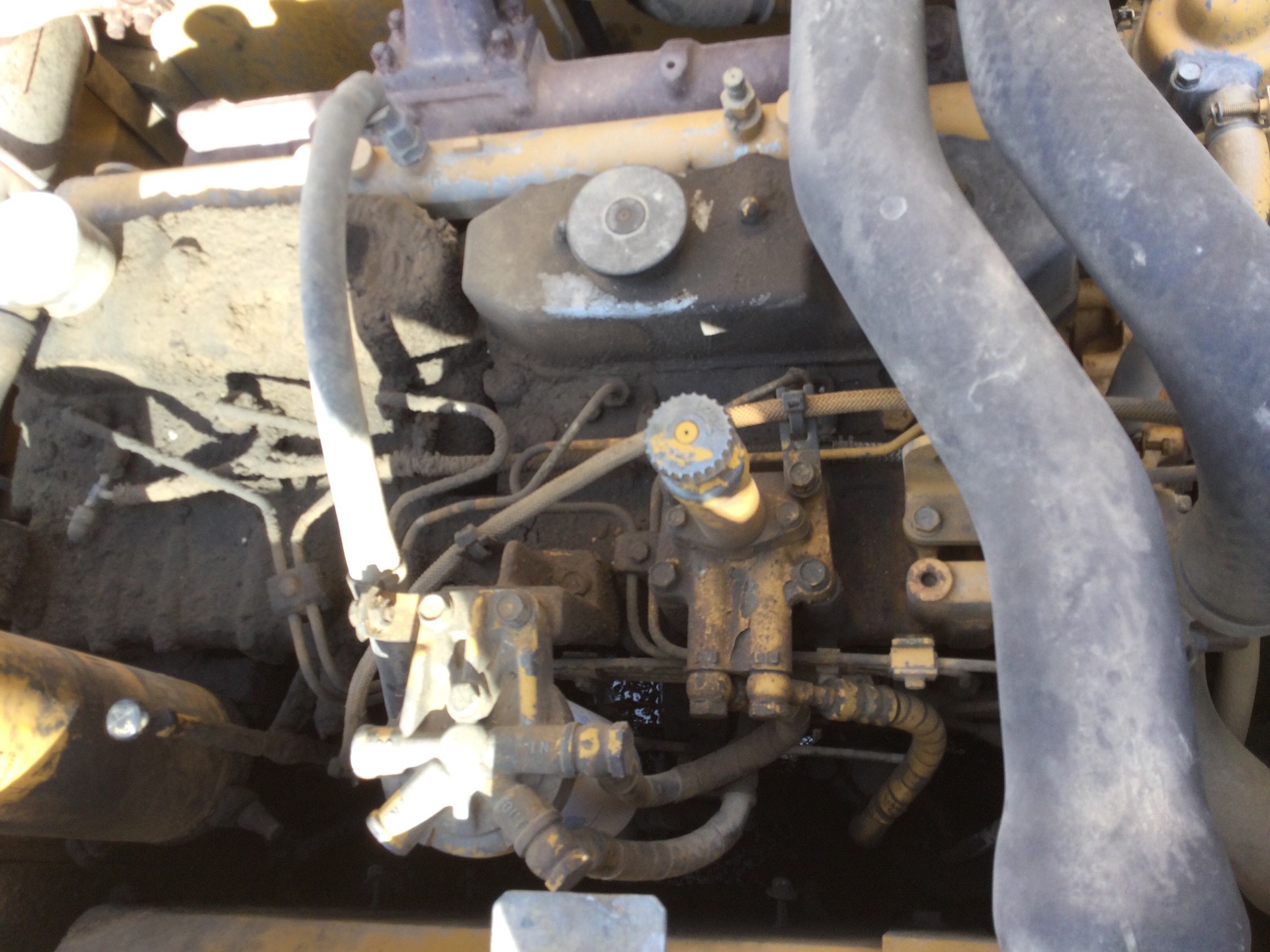 Photo - 45