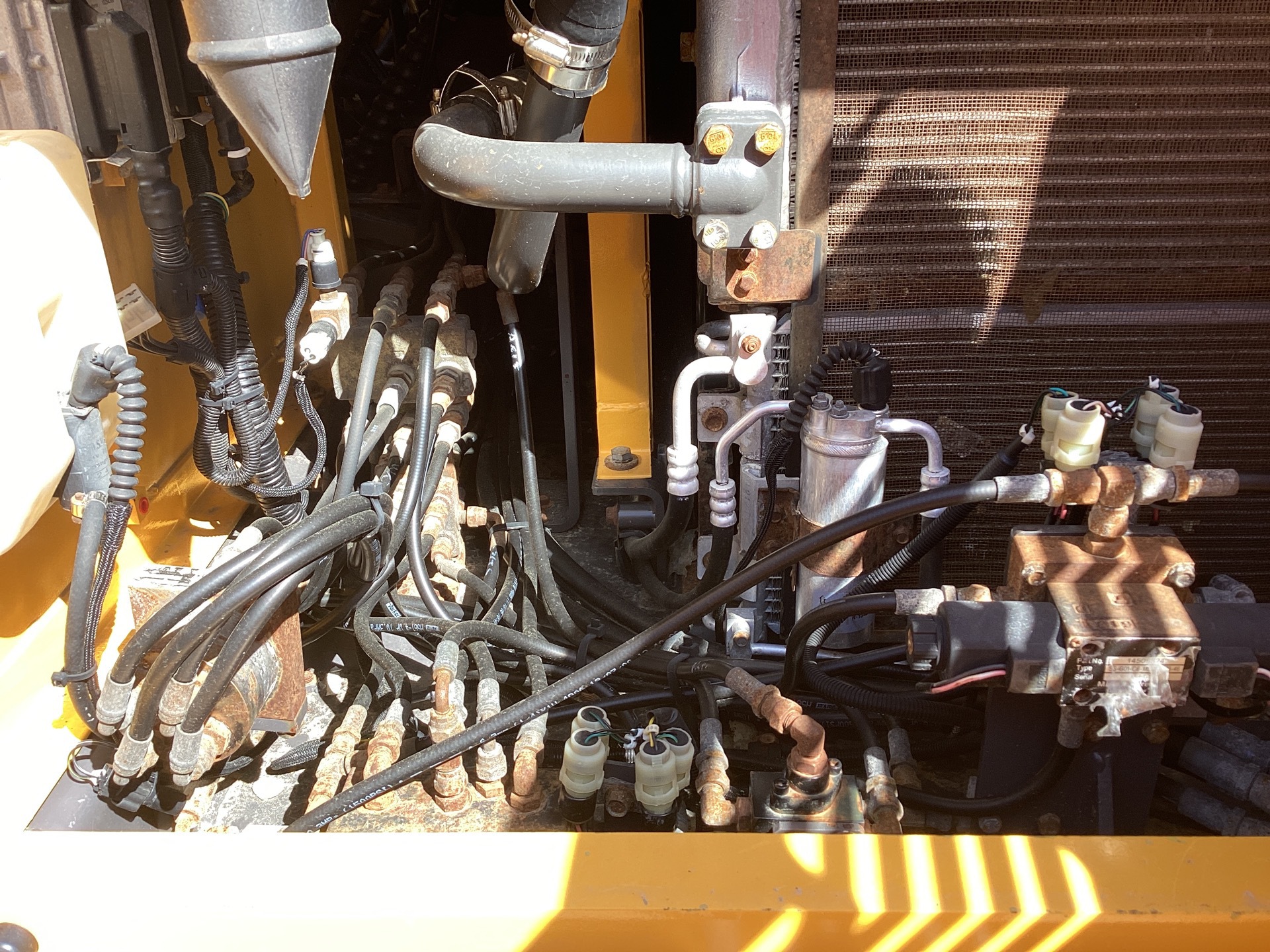 Photo - 43