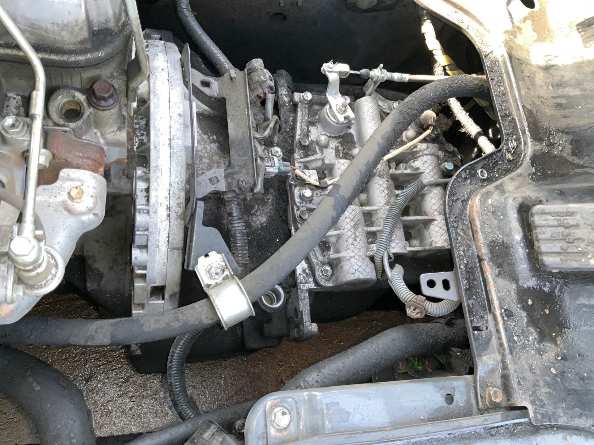 Photo - 21
