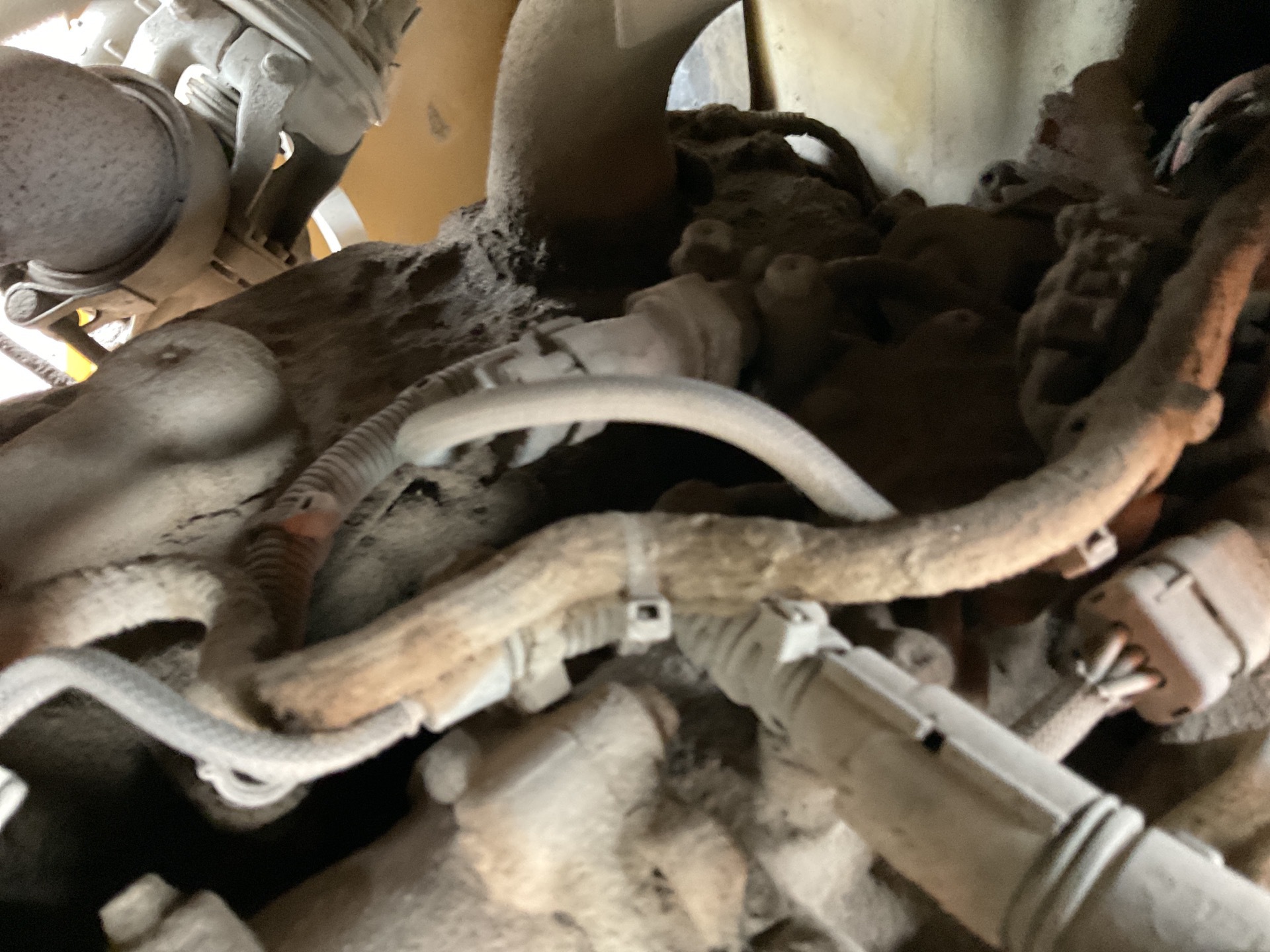 Photo - 43