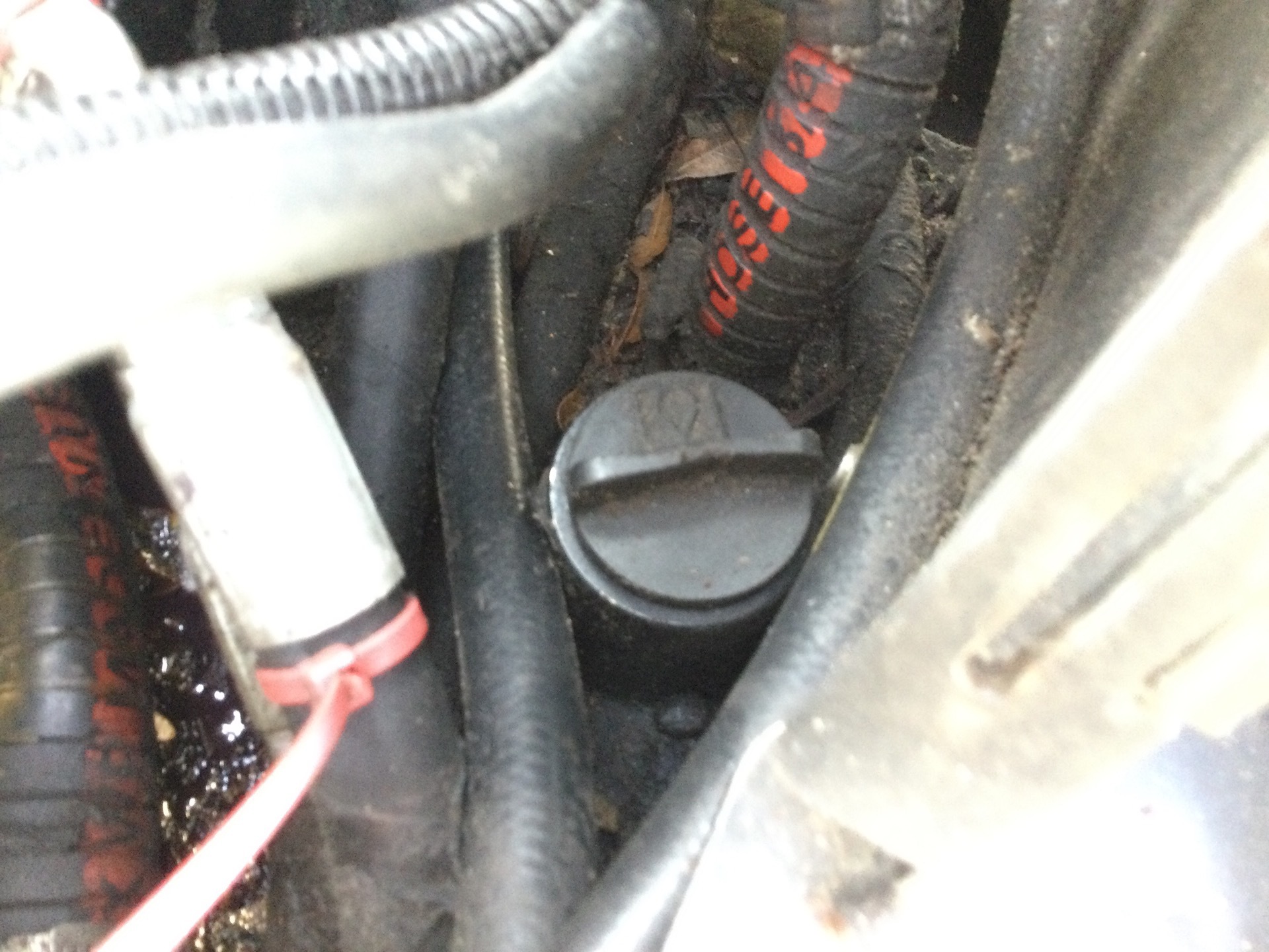 Photo - 31
