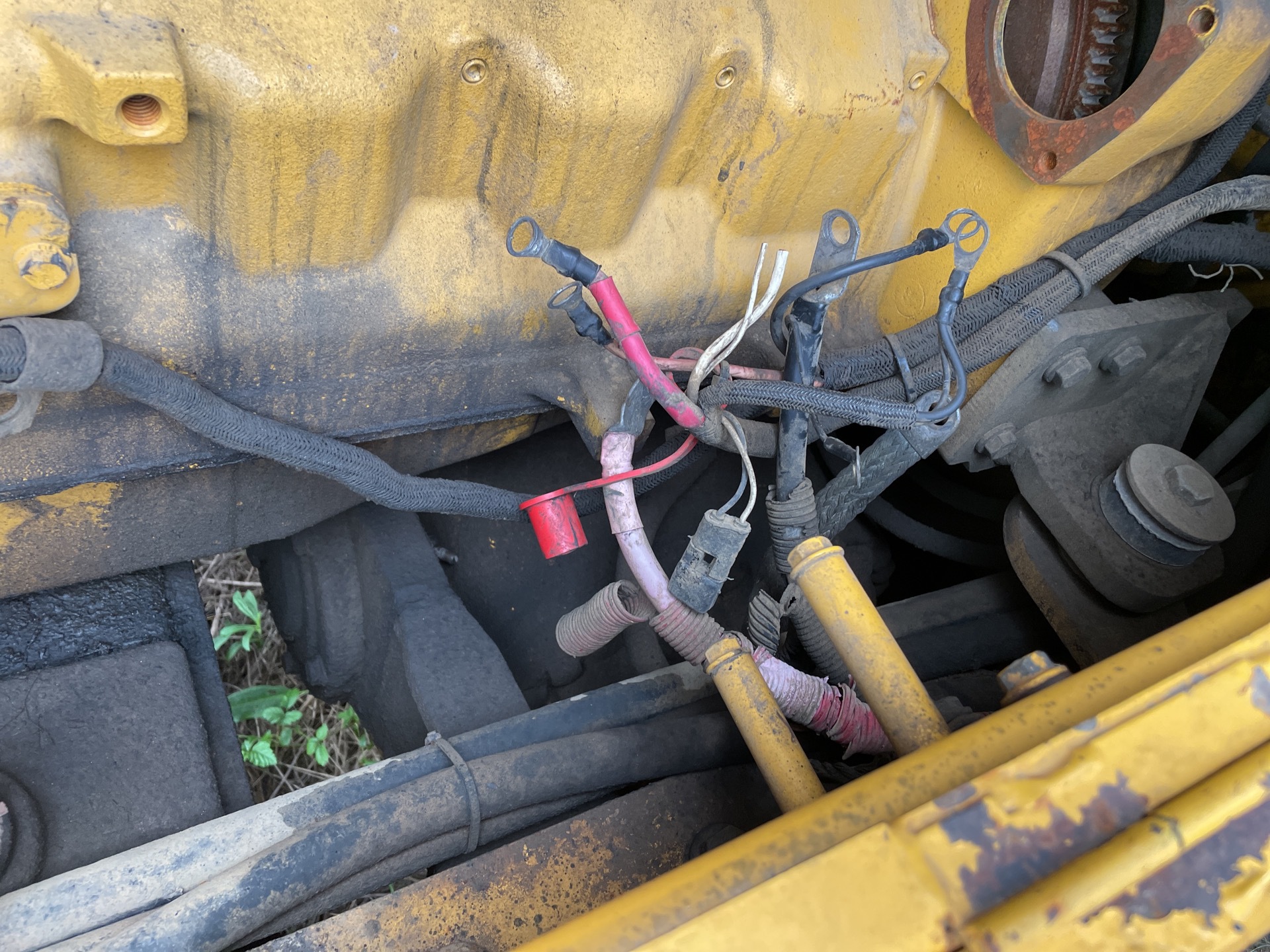 Photo - 25