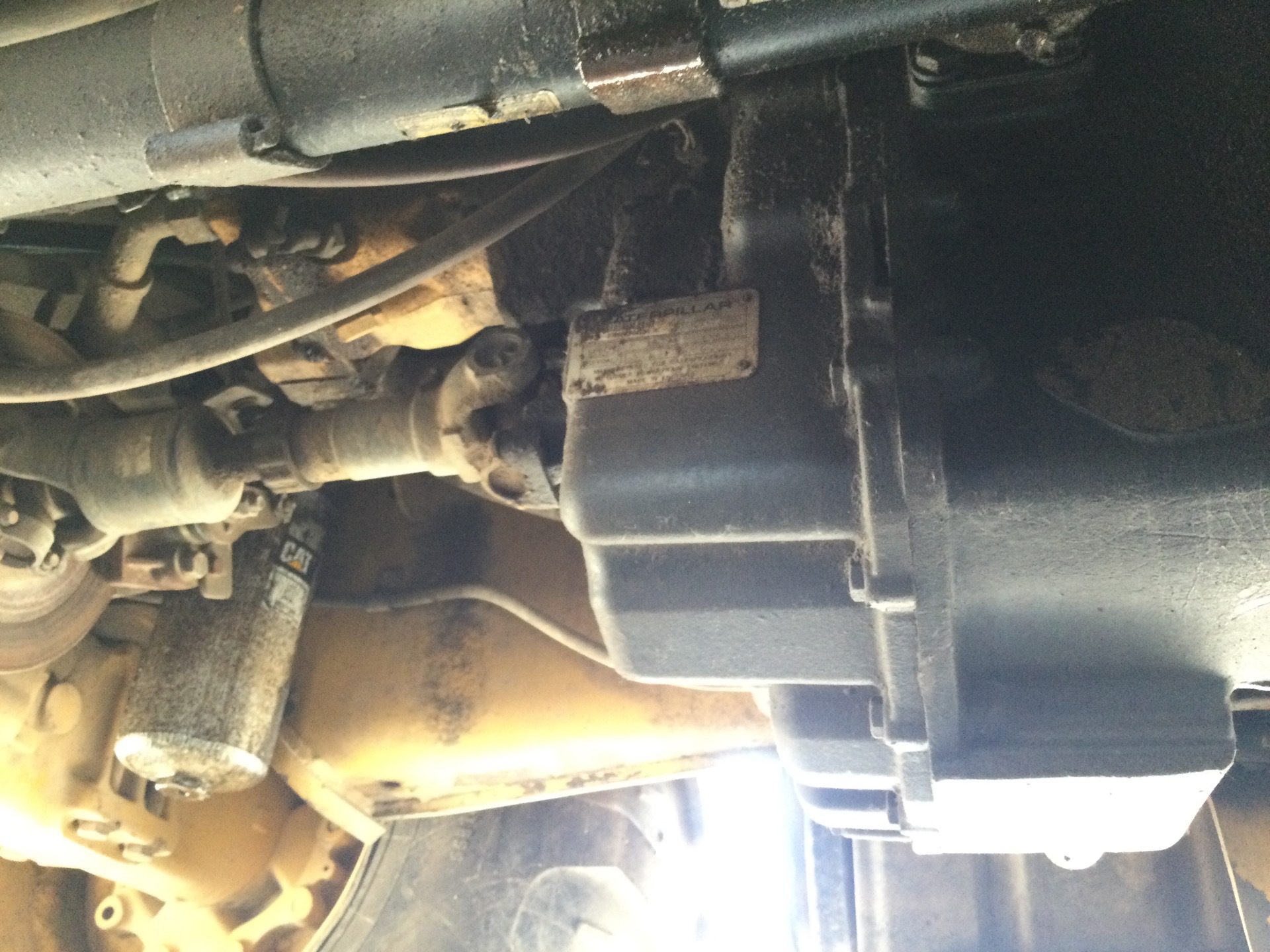 Photo - 46