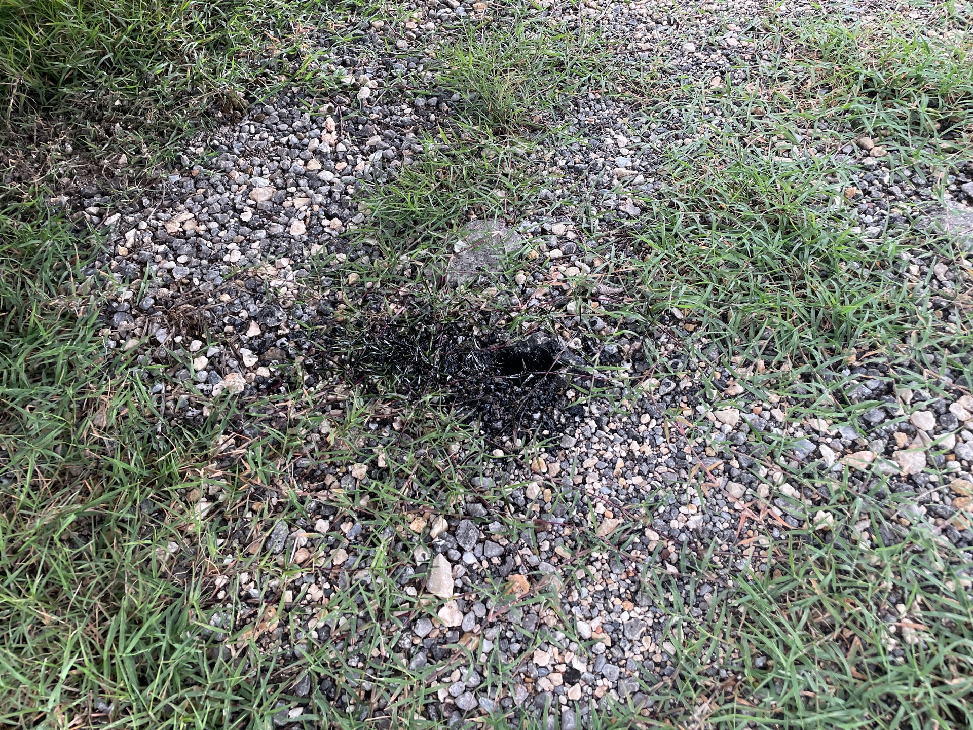 Photo - 46