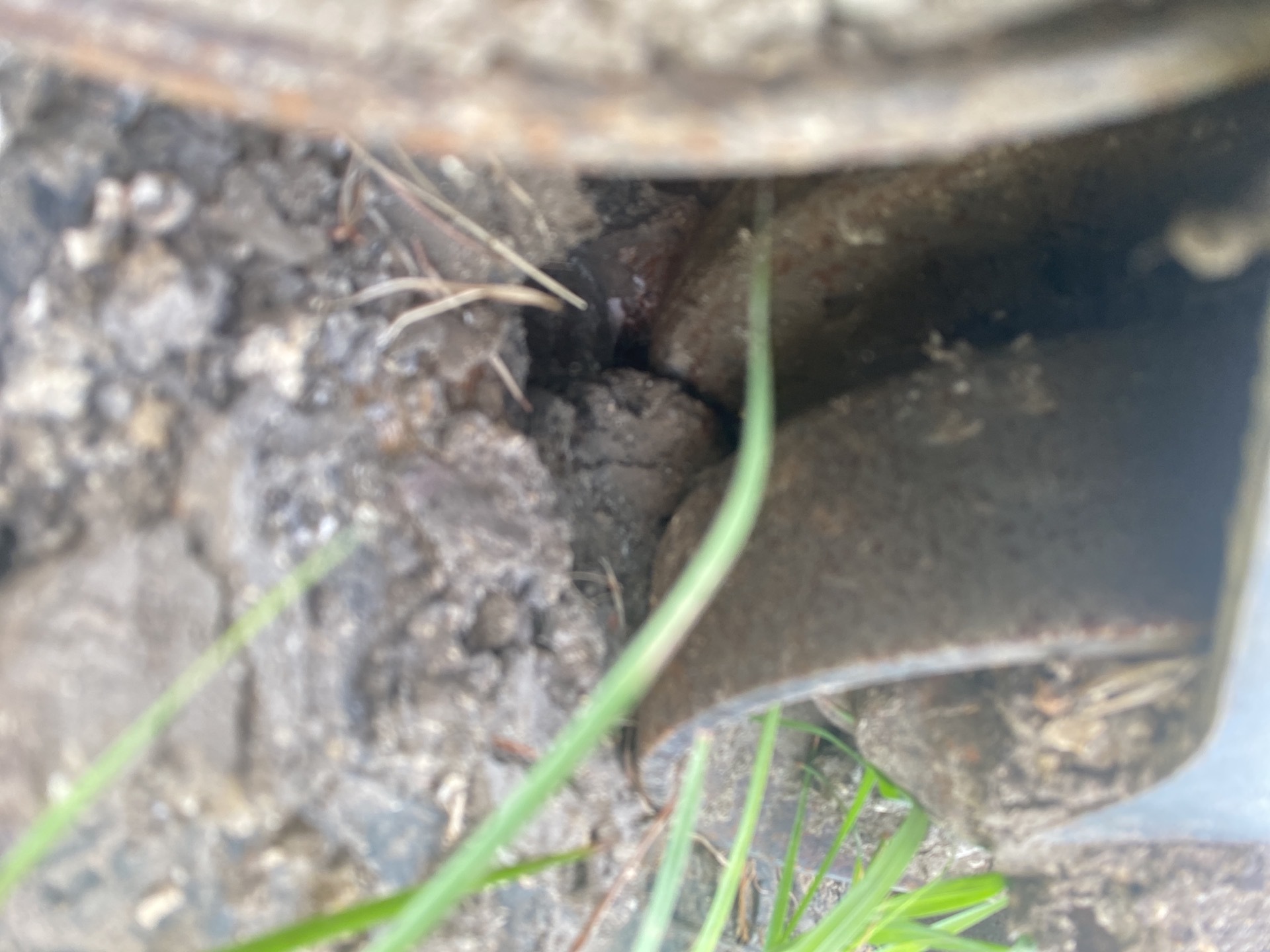 Photo - 45