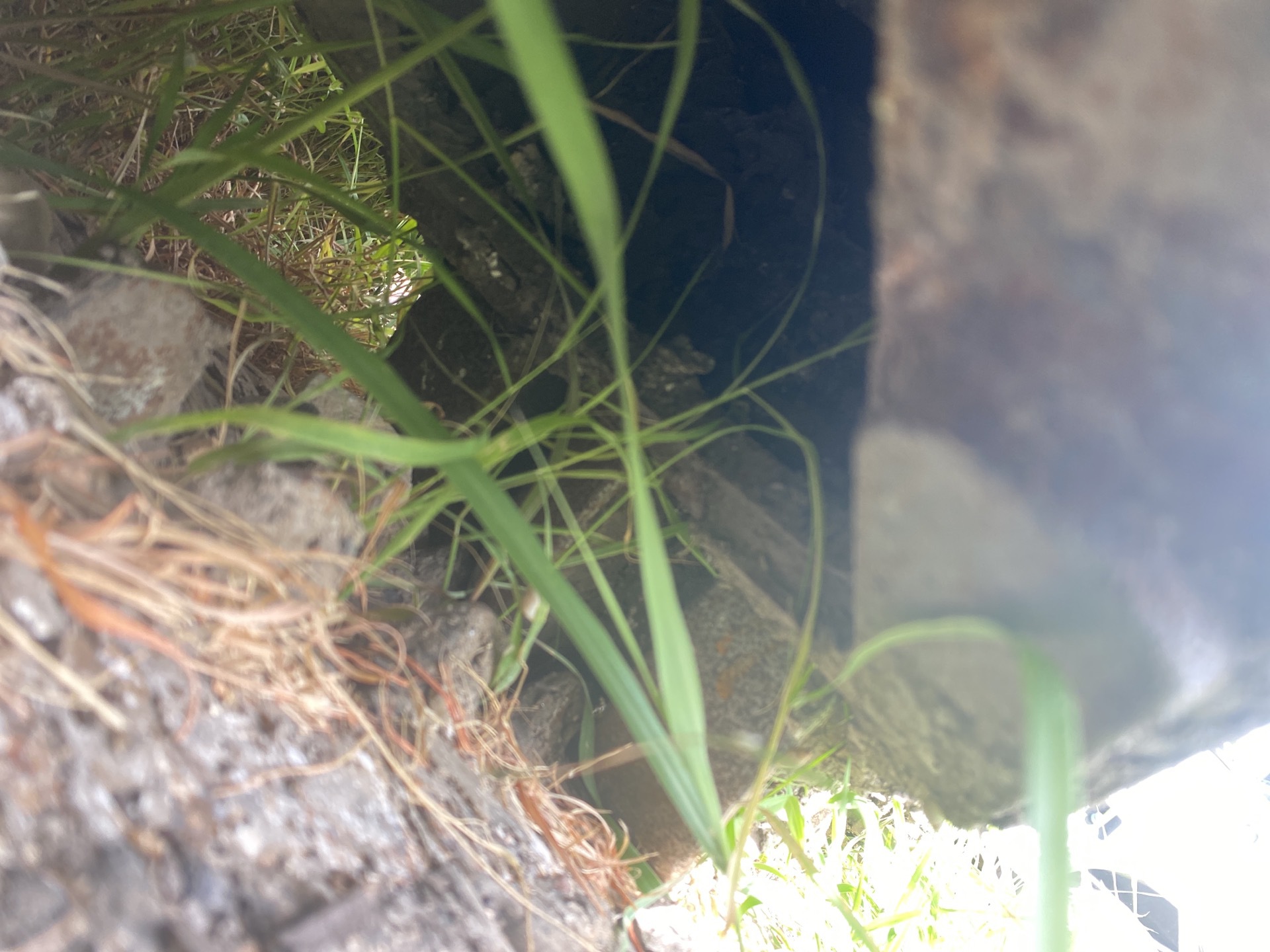 Photo - 40